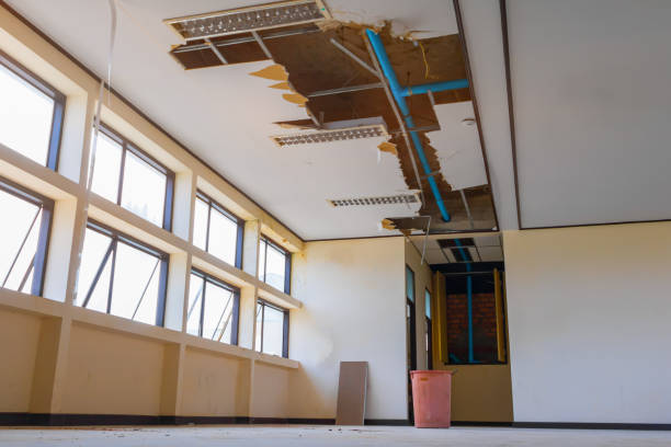 Best Water damage cleanup near me  in Metairie, LA