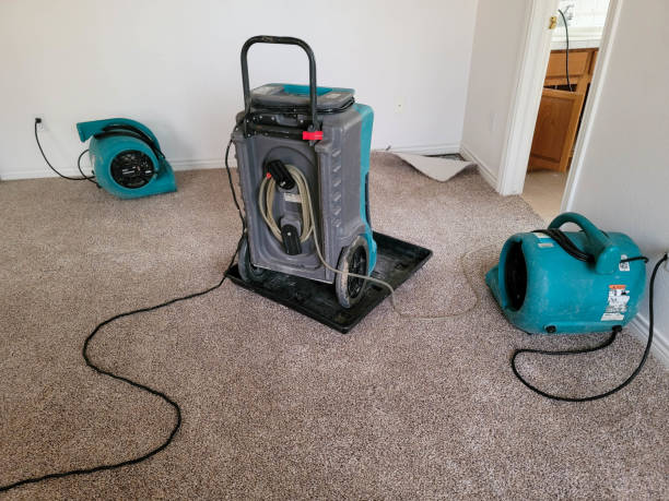 Best Mold removal after water damage  in Metairie, LA