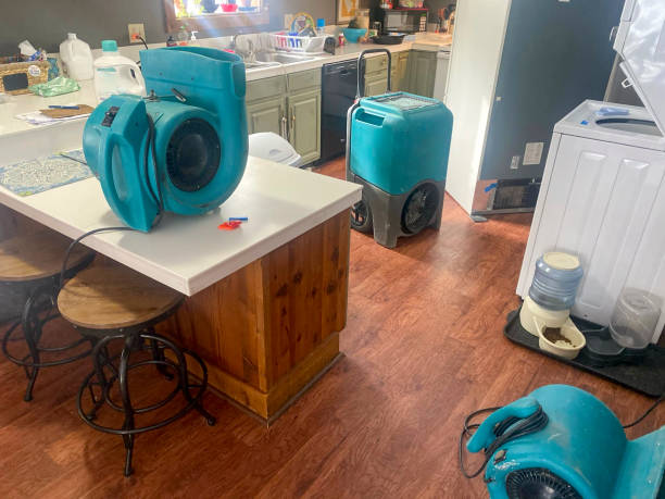 Best Residential water damage restoration  in Metairie, LA