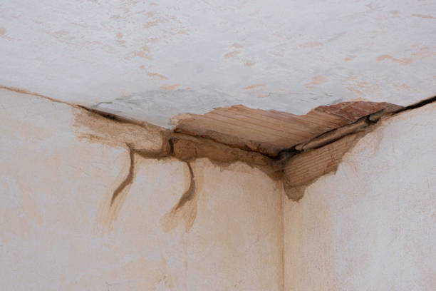 Best Water damage restoration near me  in Metairie, LA