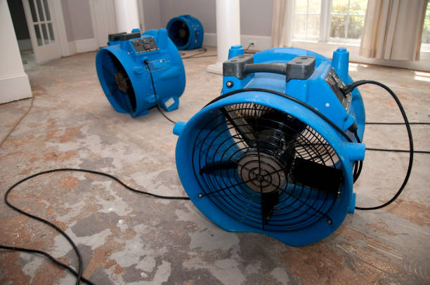 Best 24/7 water damage repair  in Metairie, LA