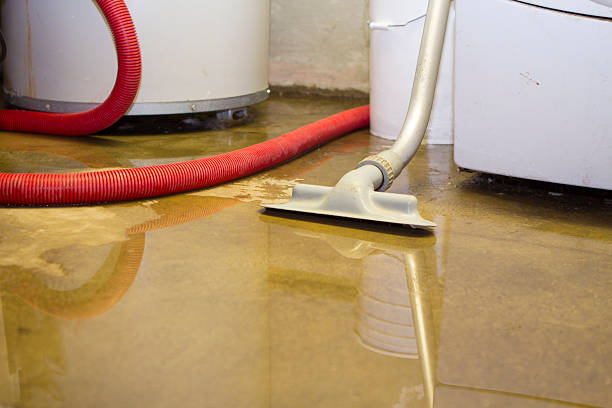 Best Water damage restoration near me  in Metairie, LA