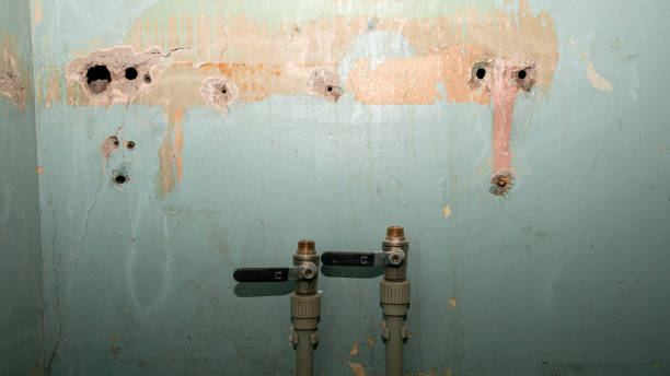 Best Local water damage restoration  in Metairie, LA