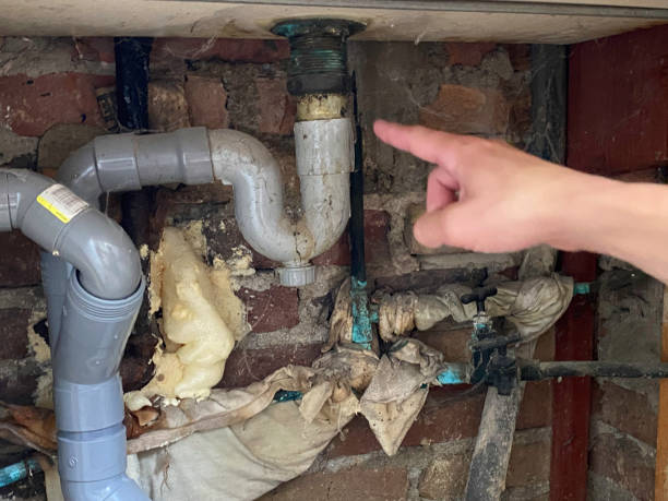 Best Mold removal after water damage  in Metairie, LA