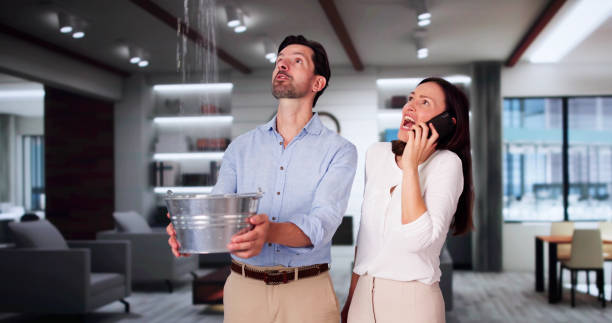 Best Flood damage cleanup  in Metairie, LA
