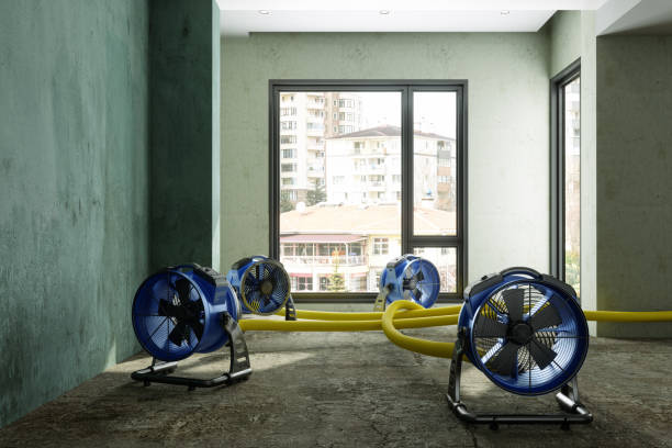 Best Commercial water damage restoration  in Metairie, LA