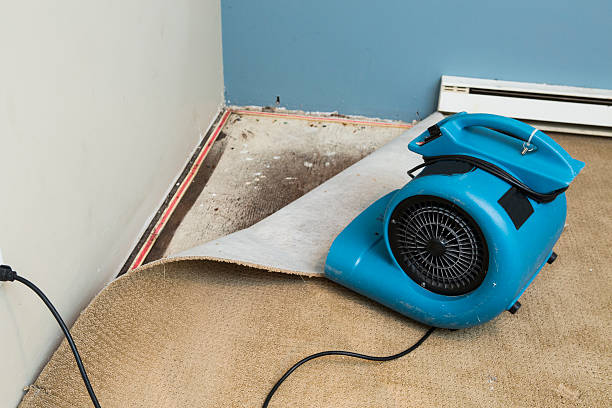 Best Sewage cleanup and water damage restoration  in Metairie, LA